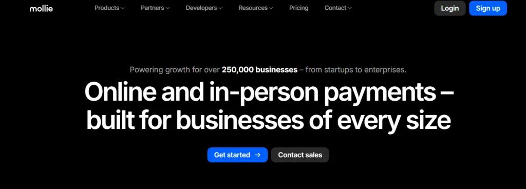 Think Mollie Is Cost-Effective? Here’s What the 2025 Pricing Really Looks Like! 2 Mollie homepage